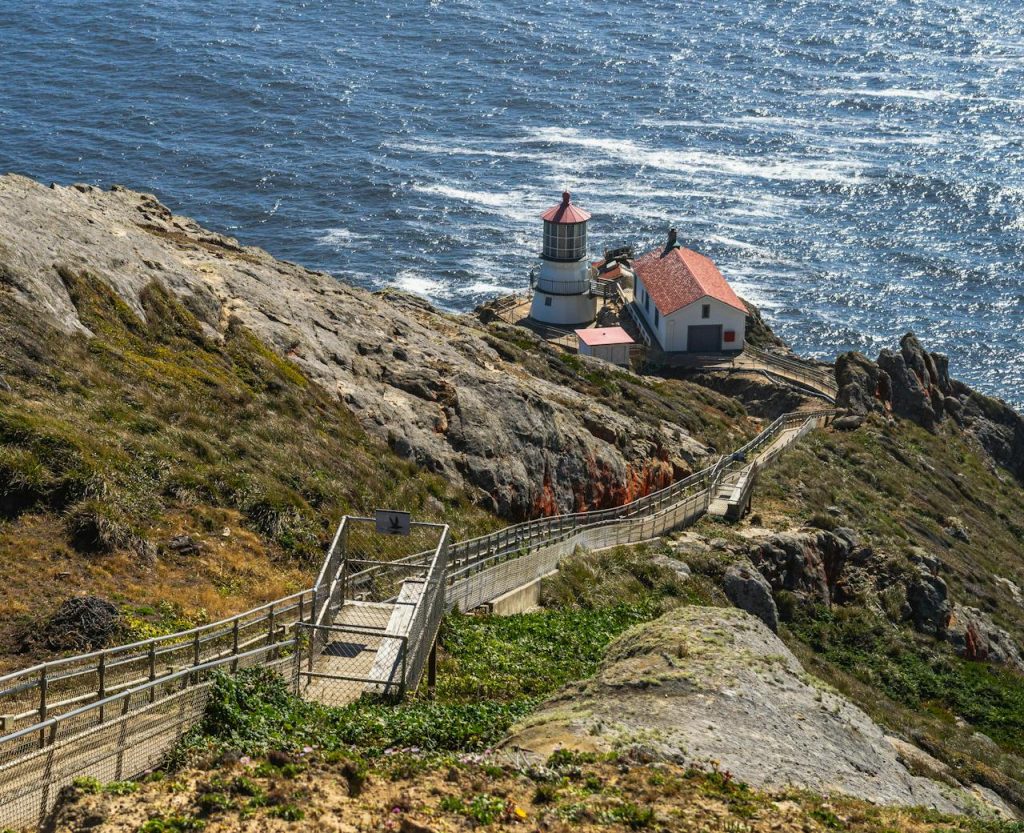 Wooden Path by the Shore