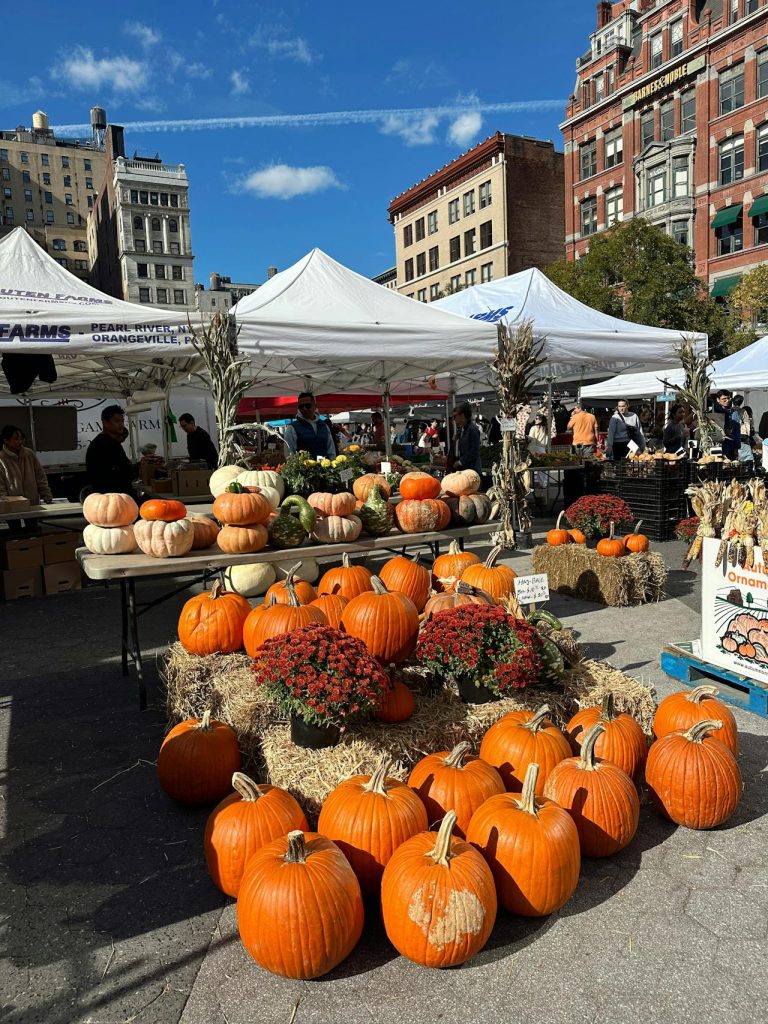 Pumpkin and Harvest Festivals