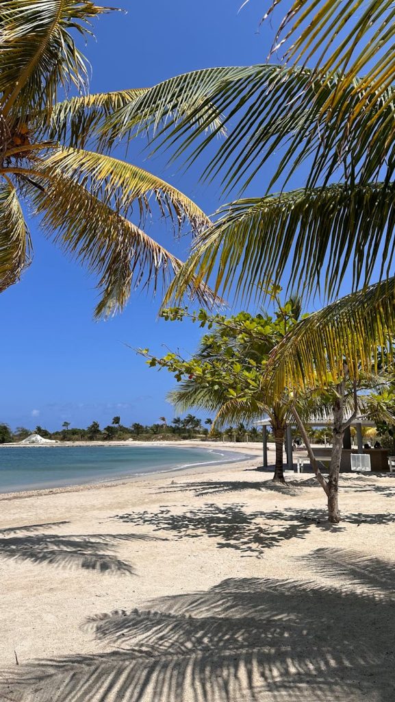 A beach with palm trees and a sandy shore, Jamaica