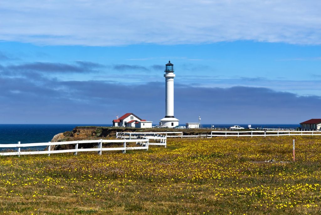 A White Lighthouse on a Field of Yellow Flowers
