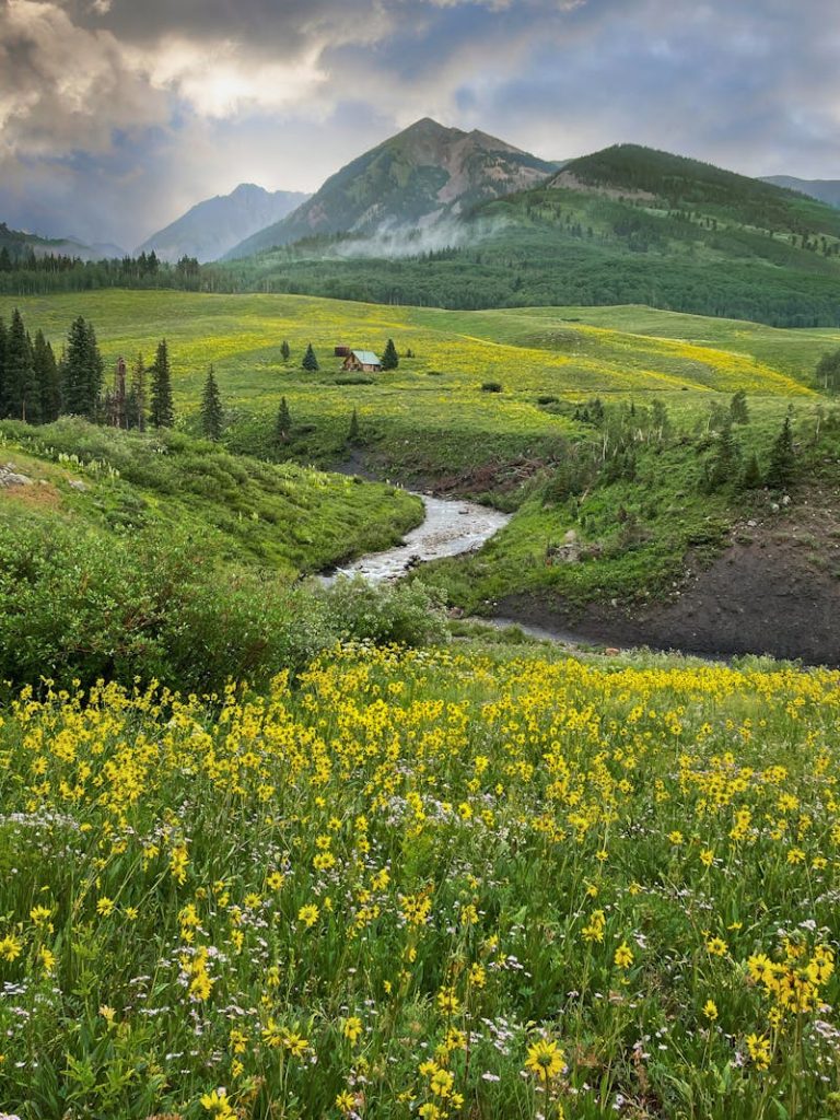 Crested Butte Wildflower Festival, Colorado