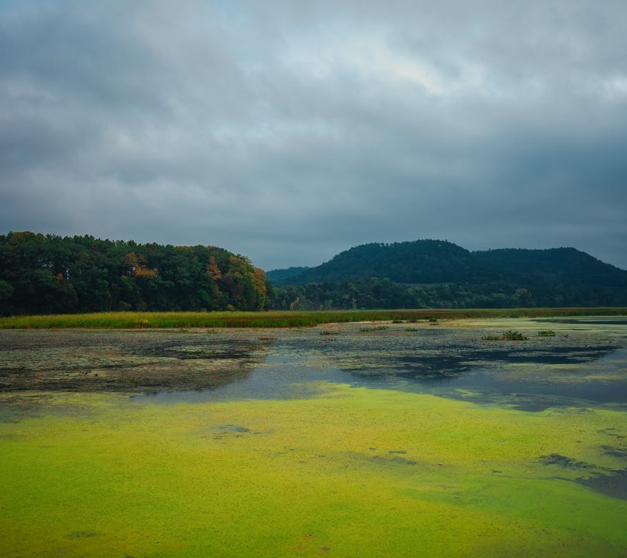 Serene Landscape of Alma Wisconsin Wetlands in Fall
