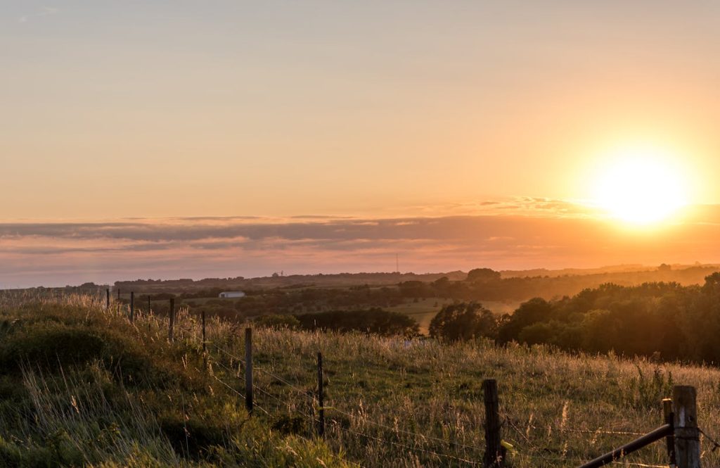 13 U.S. Roadside Curiosities That Are Actually Worth A Stop – Her Life Adventures Green Grass Field