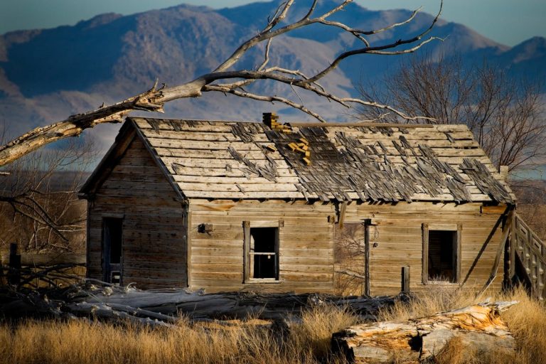 Withered Branch over Abandoned, Wooden House in Countryside
