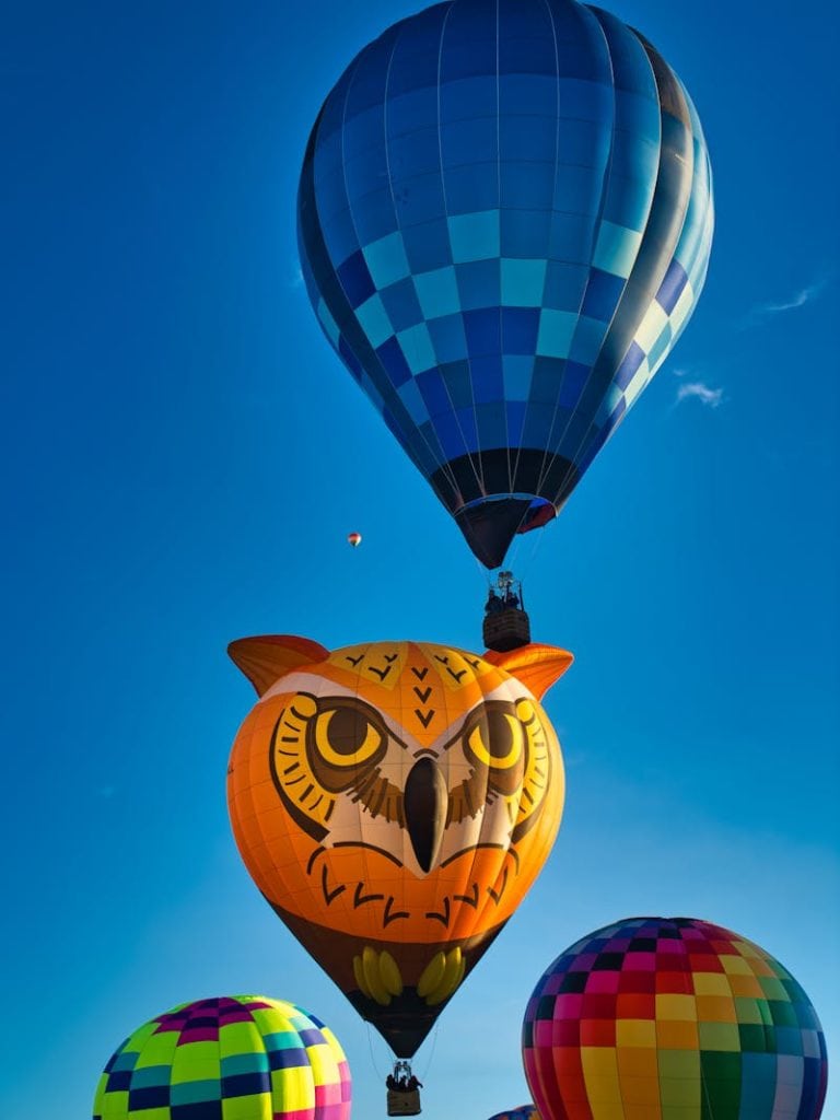 Assorted-color Hot Air Balloons, New Mexico