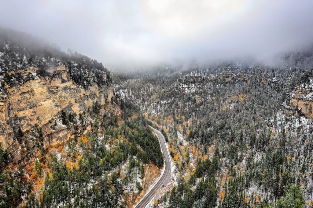 13 U.S. Roadside Curiosities That Are Actually Worth A Stop – Her Life Adventures Grey Road Near Green-leafed Trees
