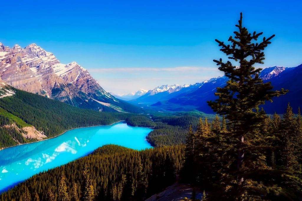 Peyto Lake (Canada)