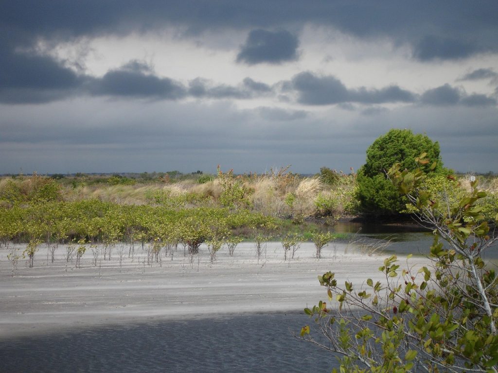 Merritt Island, Florida