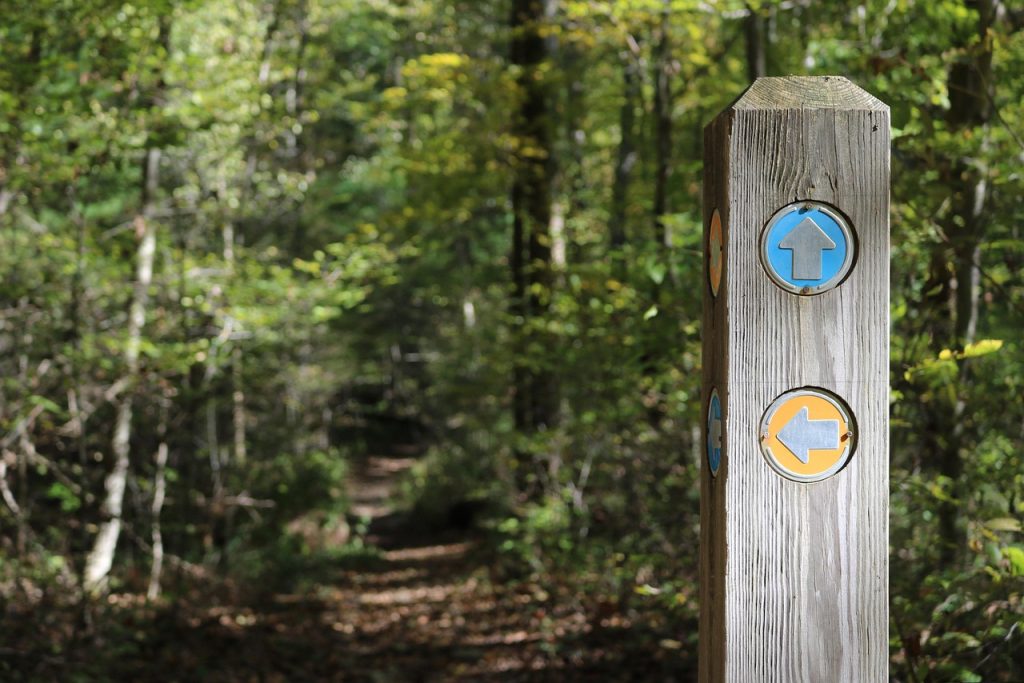 Fading Trail Markers