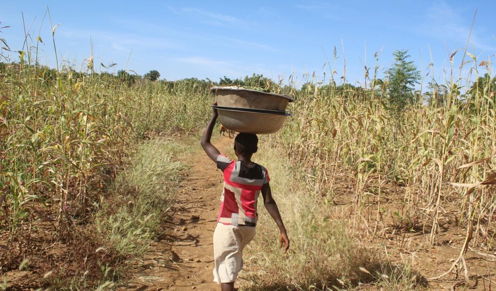 Young Girl Walking Through Field in Burkina Faso