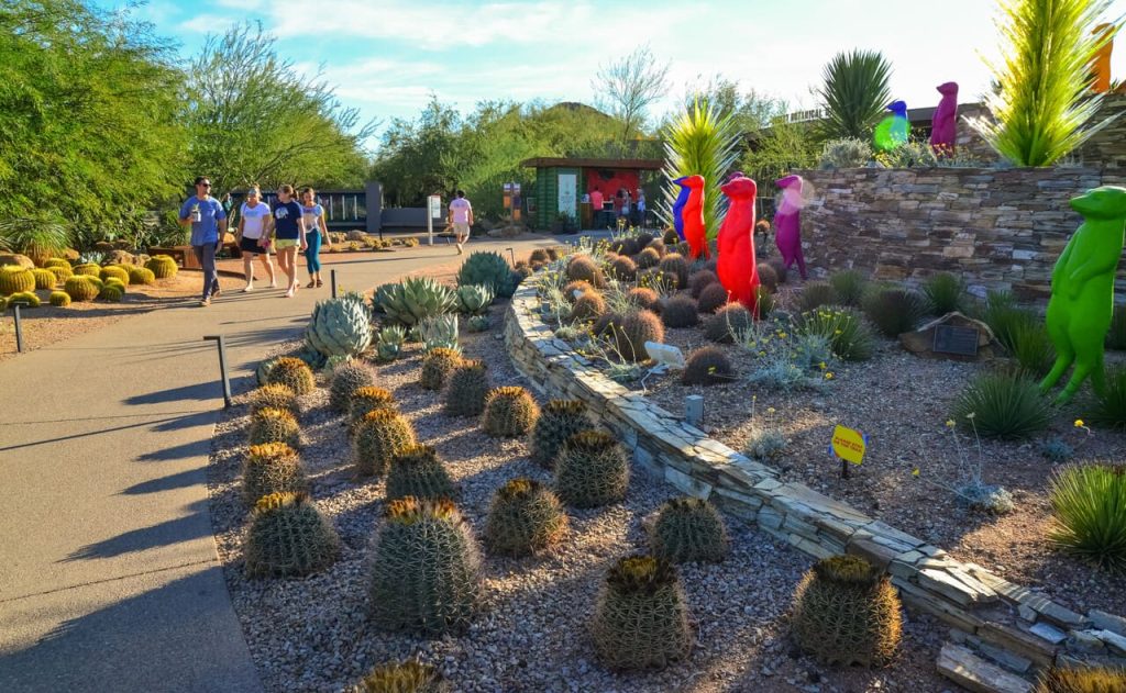 Phoenix’s Desert Holiday Adventure Gallery – Her Life Adventures Luminaria Paths & Botanical Beauty