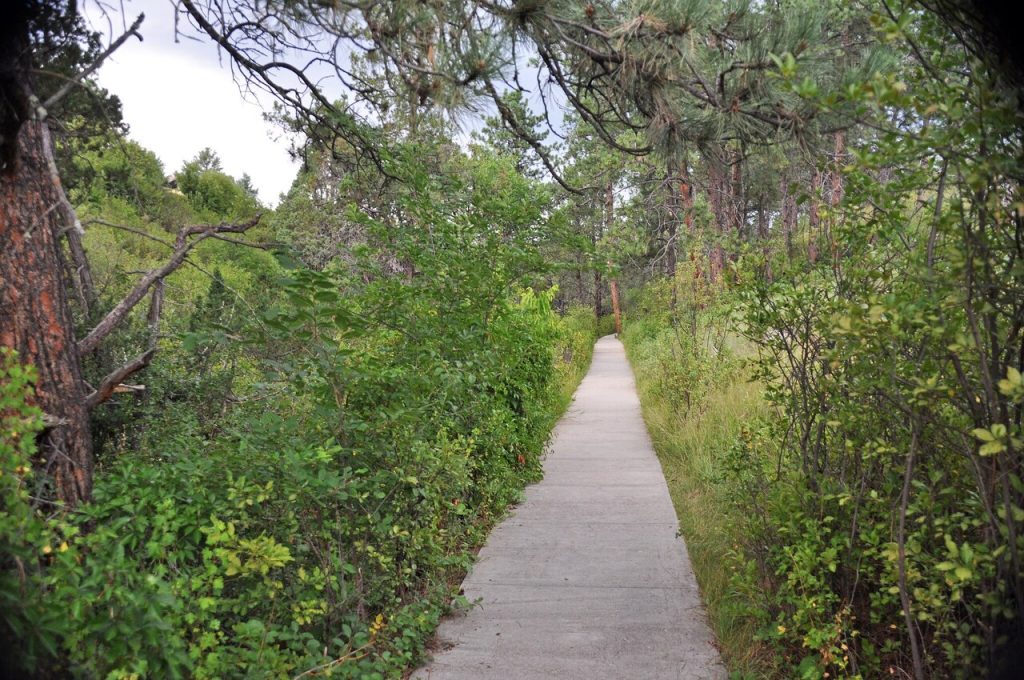 Black Hills, South Dakota