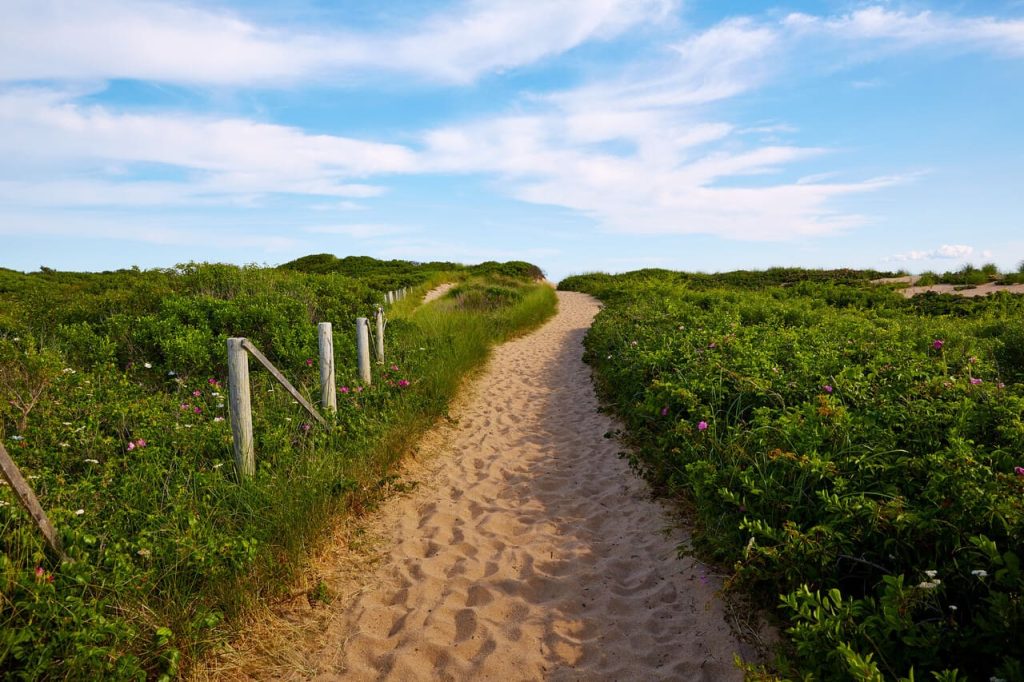  Cape Cod National Seashore Trails, Massachusetts