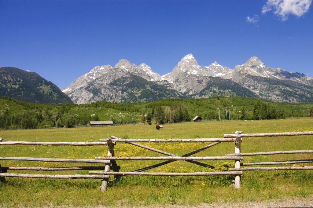 a pastoral scene on a ranch at the base of the Tetons
