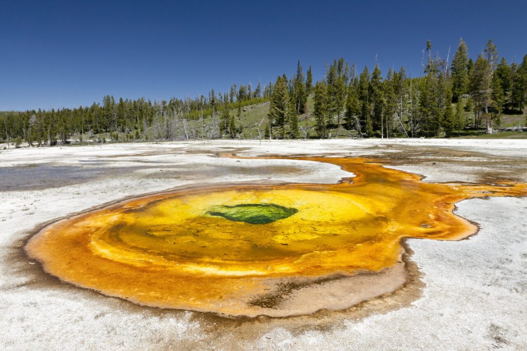 Chromatic Spring, a hot spring in the Upper Geyser Basin of Yellowstone National Park, USA