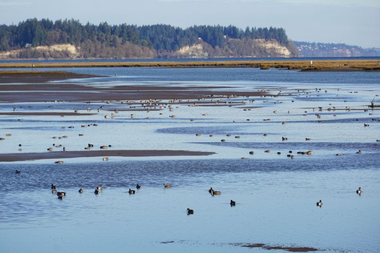 12 U.S. Nature Reserves That Are Surprisingly Quiet