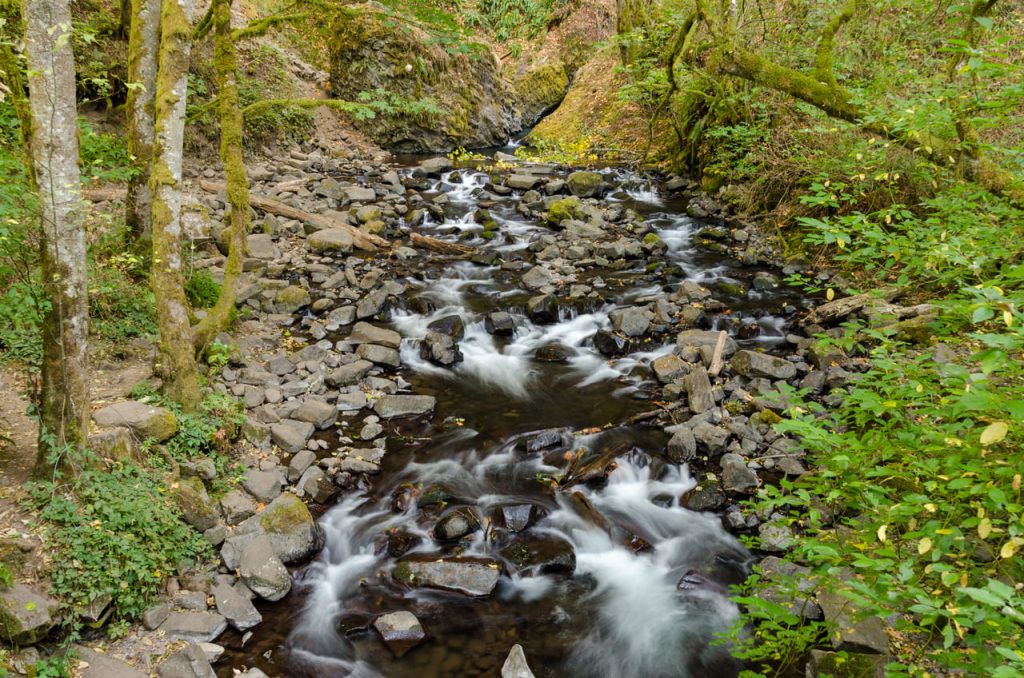 Bridal Veil Creek, Bridal Veil Falls - DPLA