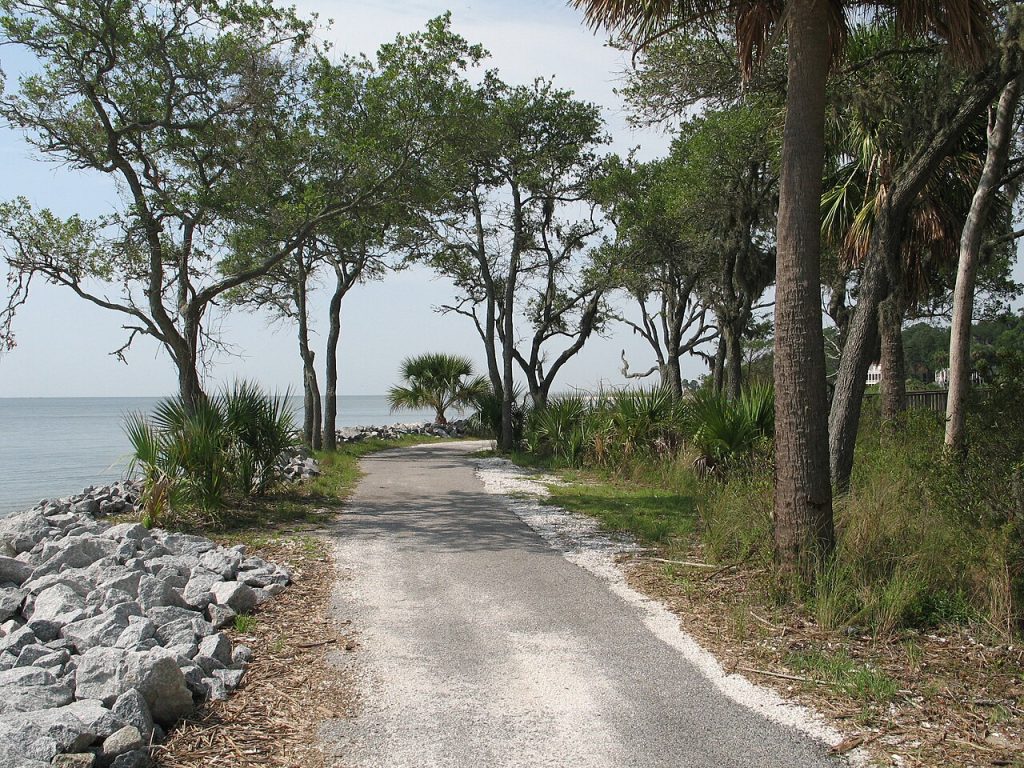 Ocean pathway on Daufuskie Island