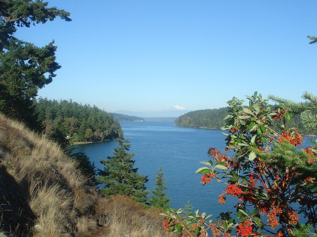 Goose Rock Trail (Whidbey Island, Washington State)