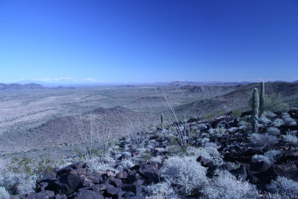 Kofa national wildlife refuge