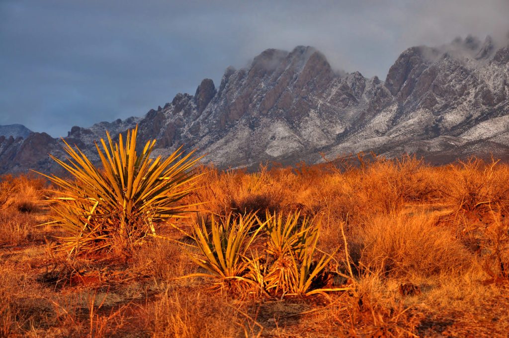 Organ Mountains-Desert Peaks, New Mexico