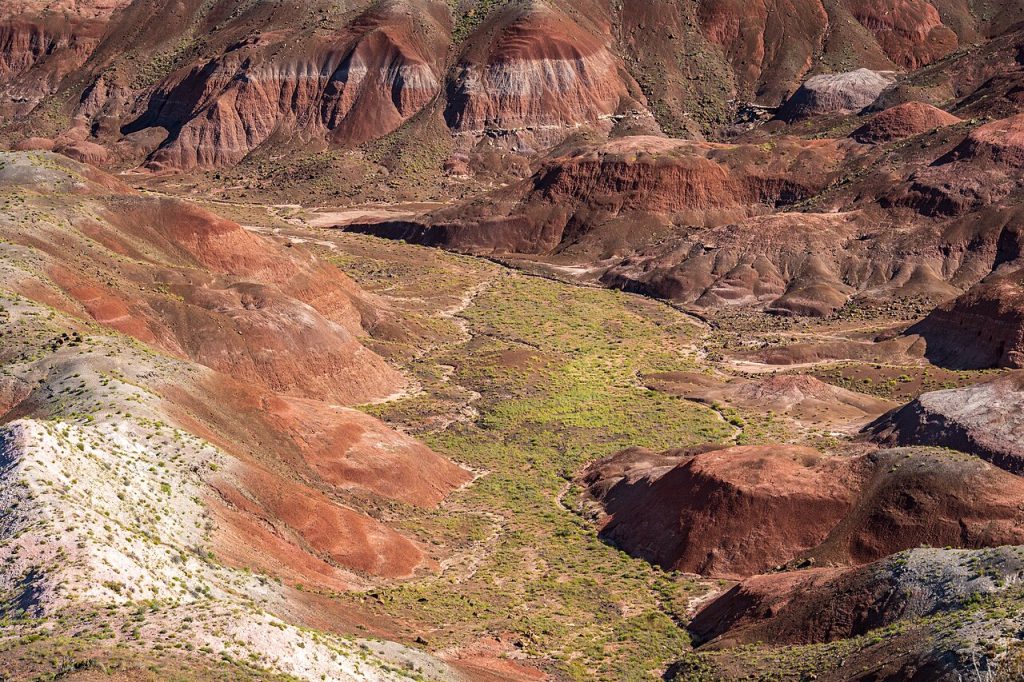Petrified Forest National Park