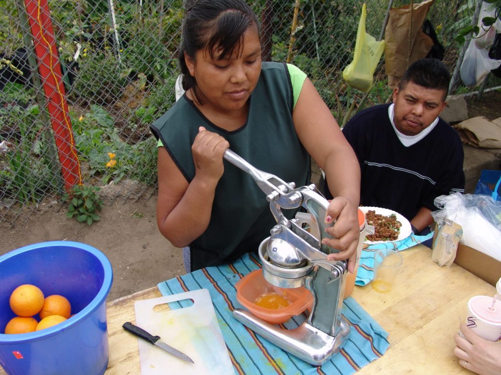 South Central farm, Los Angeles