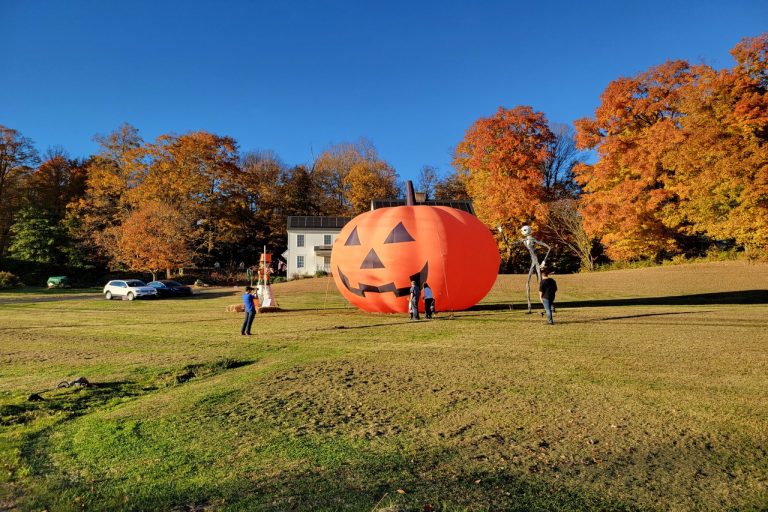 The Most Unusual Roadside Attractions in Each State.