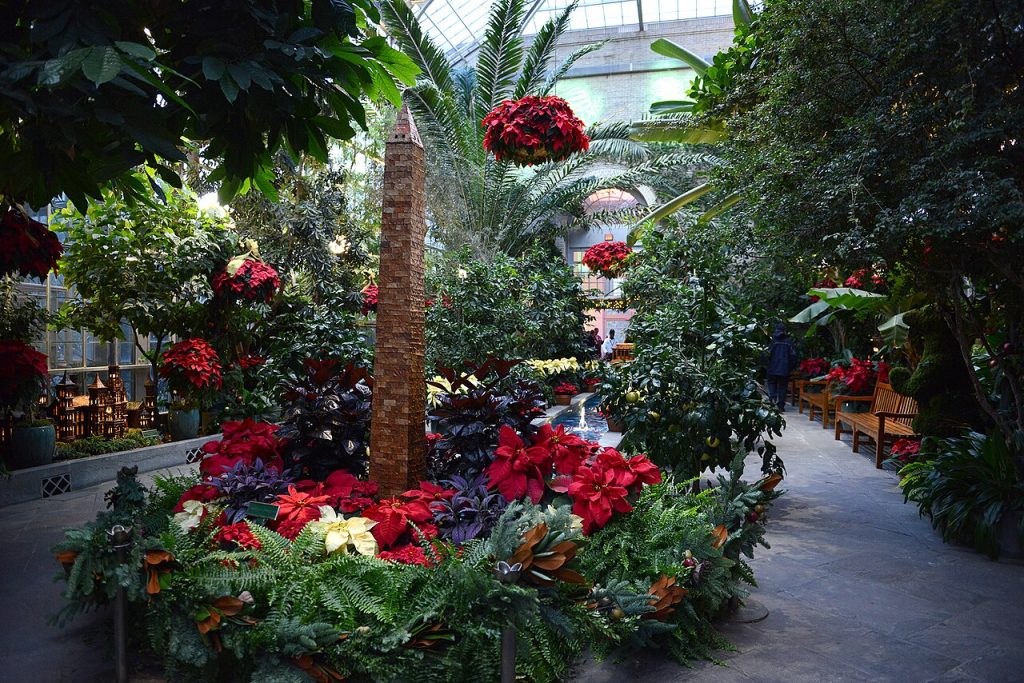 U.S. Botanic Garden at the Holidays