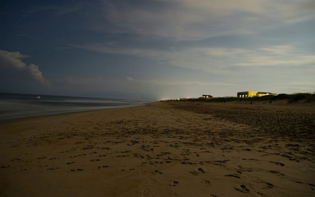 Untitled design 2025 11 07T120409.715