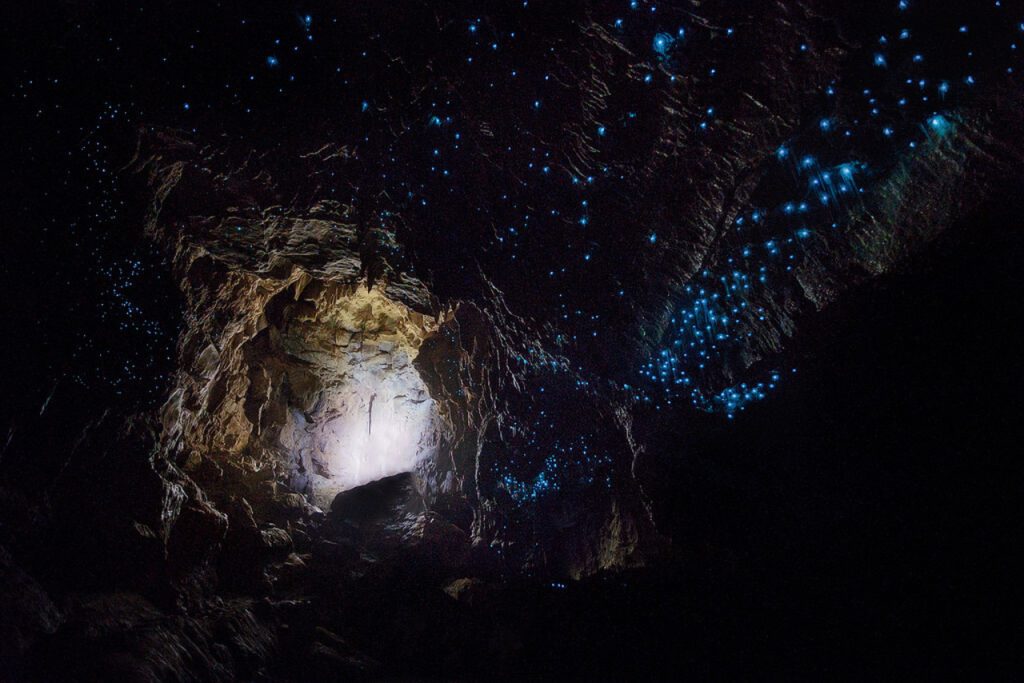 The Glowworm Caves of Waitomo