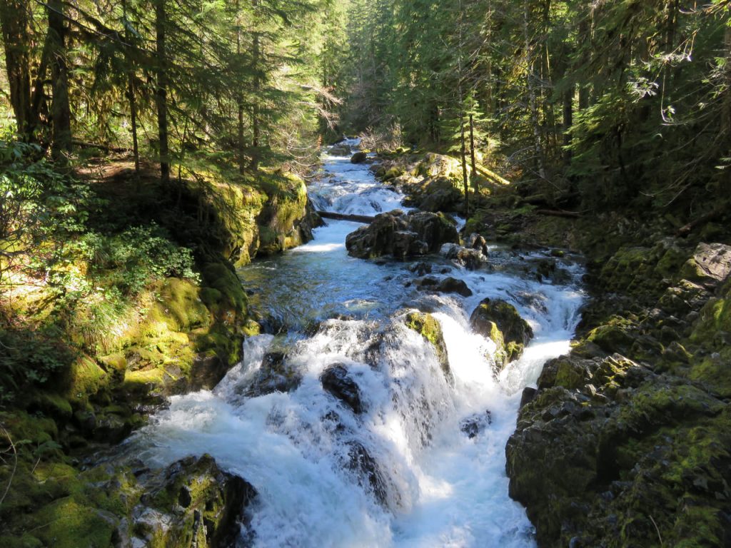 Sawmill Falls (Opal Creek), Oregon