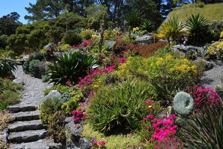 17 American Botanical Gardens Worth the Trip
