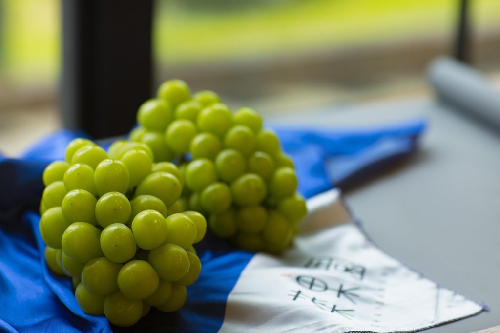 Fruit, Grape, Shine muscat image. 