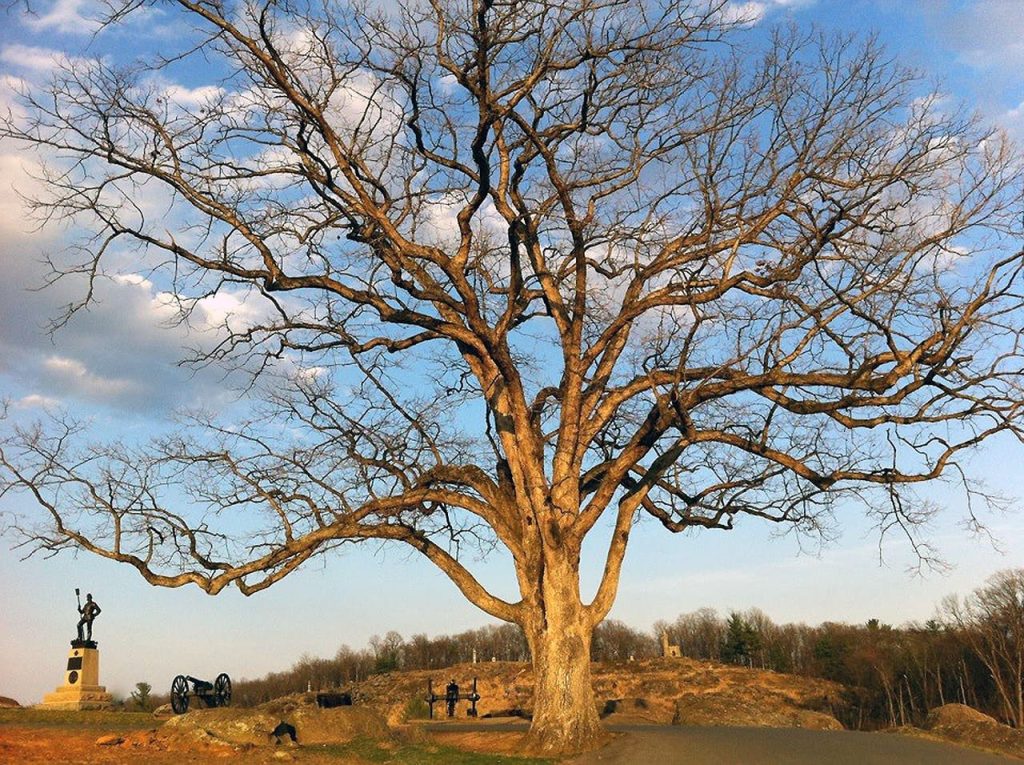 Gettysburg Battlefield Night Walk