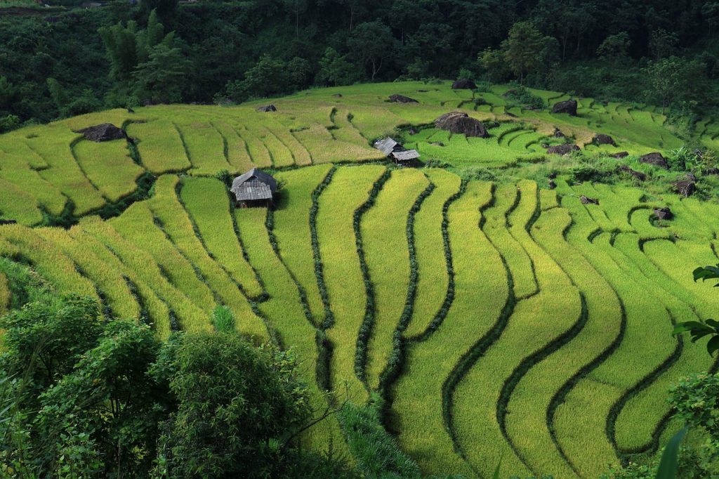 Vietnam’s Northern Countryside