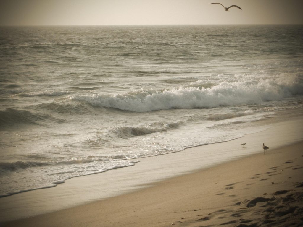 Malibu Surfrider Beach, California