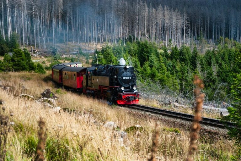 Scenic Railways That Tell a Story.