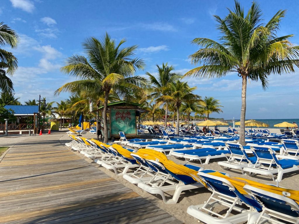 Tropical Beach with Palm Trees and Sun Loungers