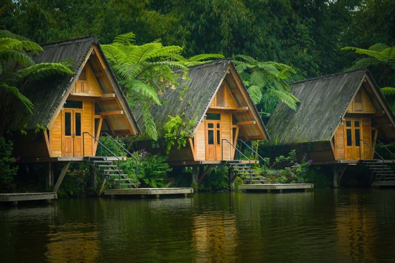 8 Eco-Friendly Vacations You Can Take in the U.S.