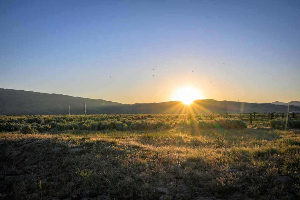 The sun is setting over a field with grass and mountains in the background
