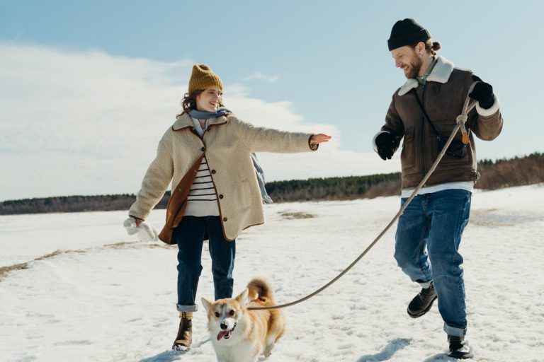 Take A Dog-Friendly Vacation In These U.S. Destinations.