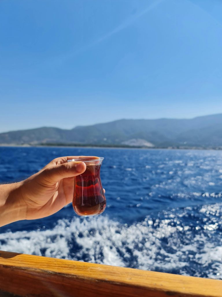 A Person Holding Clear Drinking Glass With Red Liquid