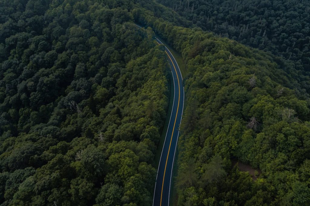 Aerial View of Road Through Lush Forest in Gatlinburg

