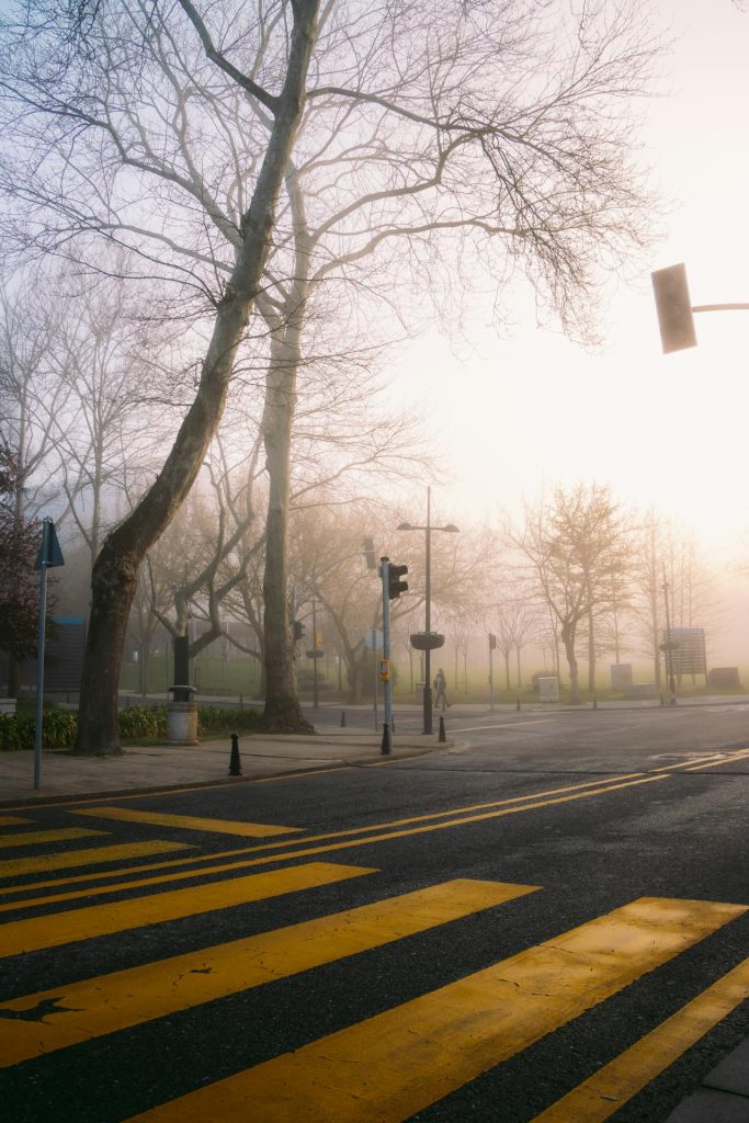 The Mountain Town That Smells Like Pine Year Round