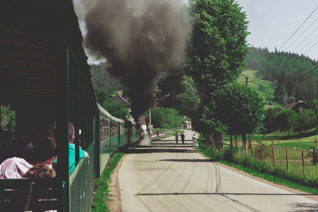 People Walking on Road Near Trees

