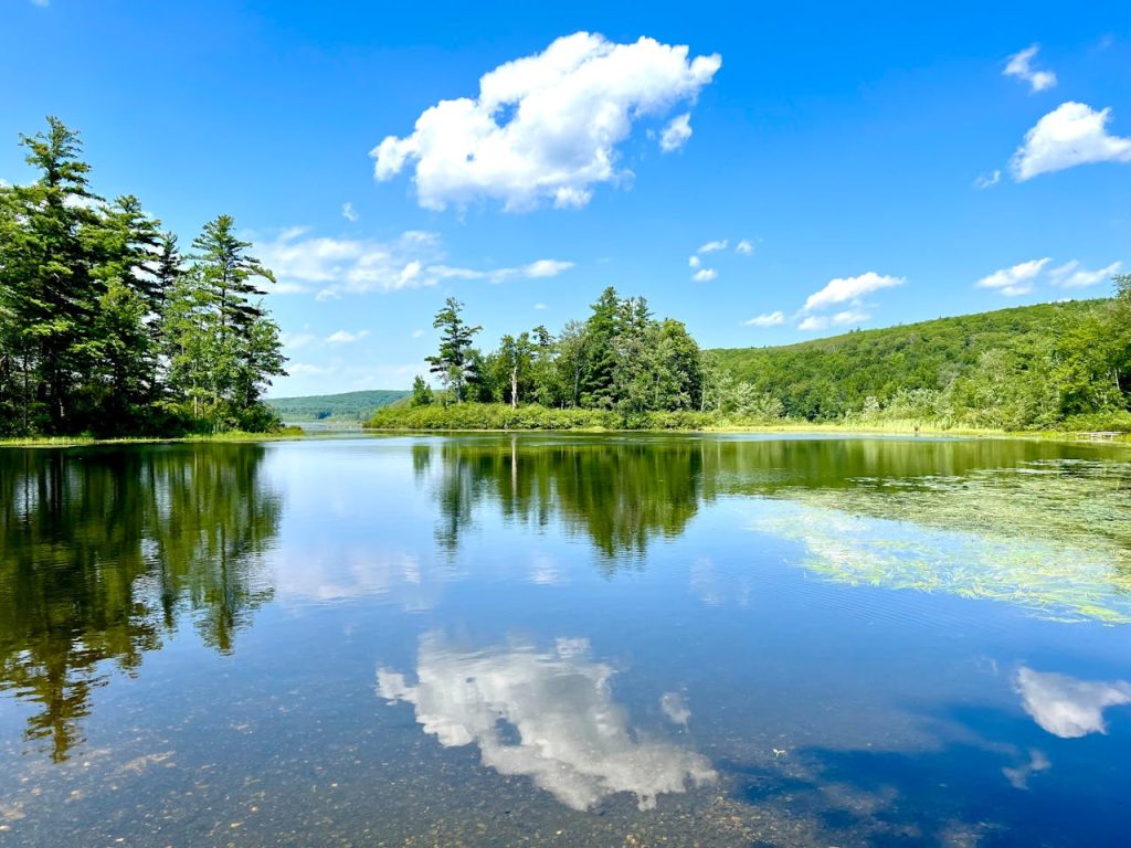 Calm lake reflecting trees and sky