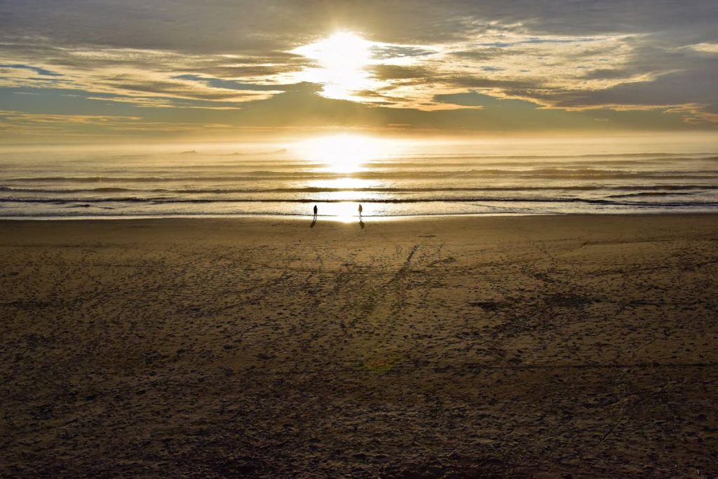 Kalaloch Beach, Washington