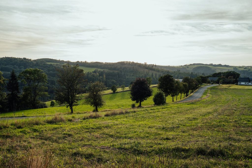 A quiet two-lane rural road stretching through rolling hills