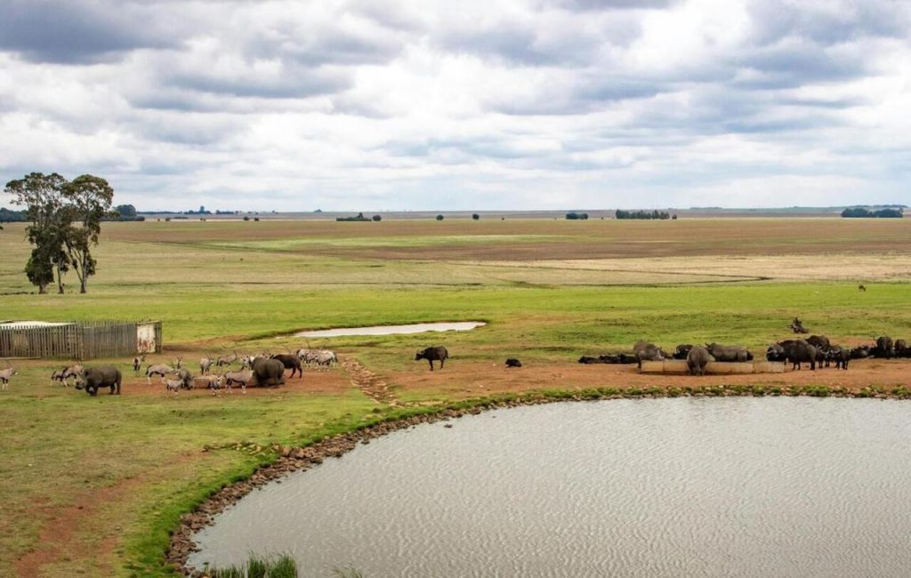 Clearwater Basin Ranch